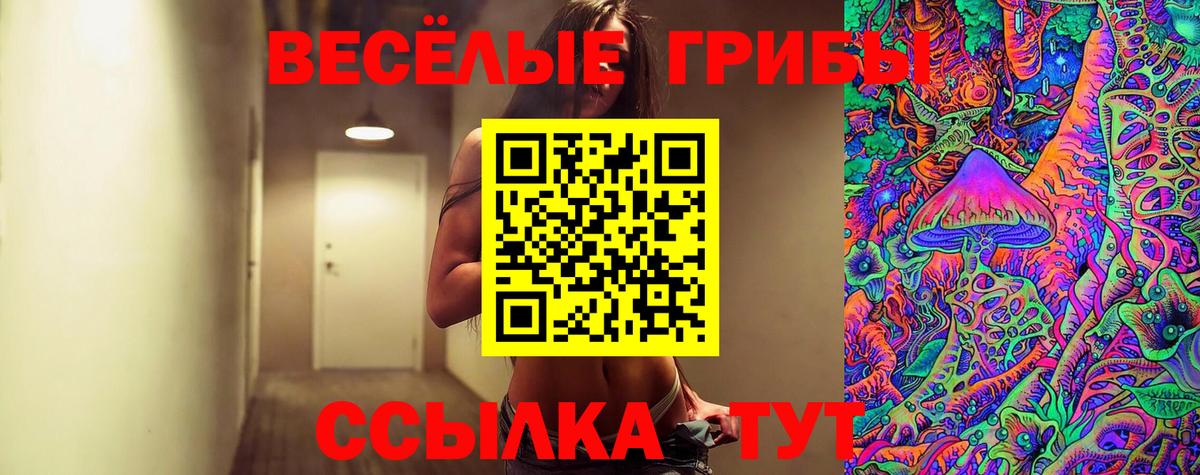 Псилоцибиновые грибы прущие грибы Сорочинск