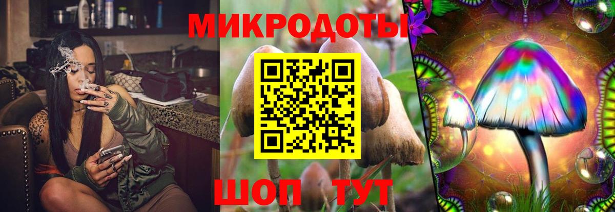 Сорочинск  Псилоцибиновые грибы Psilocybe  Вход с VPN 