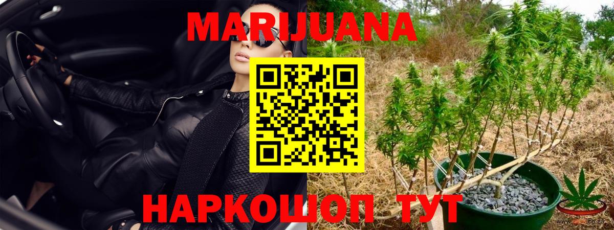 Шишки марихуана Amnesia Сорочинск